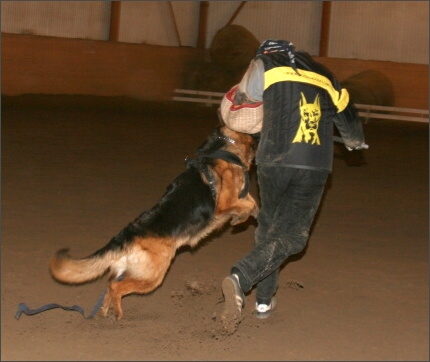 Training in Estonia 11/2007